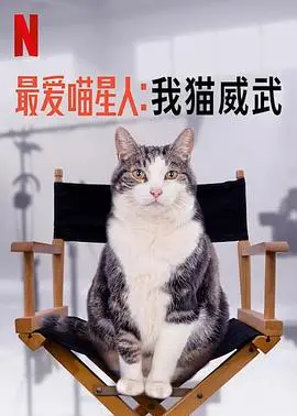 《最爱喵星人：我猫威武》：猫奴必看！爆笑又温馨的喵星人电影大揭秘